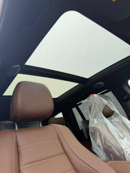 Mercedes-Benz GLS 450d black brown salon 2025